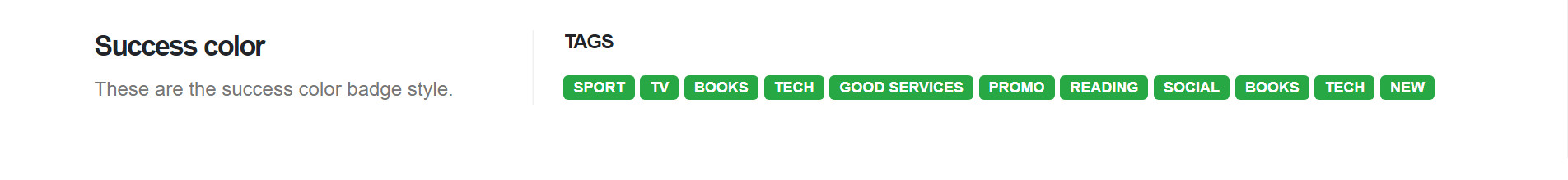 Shortcodes Tags - success color แนะนำ เว็บไซต์สำเร็จรูป NineNIC